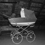 Vyrostli vněm moji sourozenci