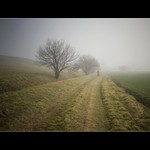 Zapomenuté dětství II...