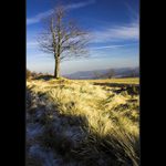 ...Krušnohorské Výhledy II...