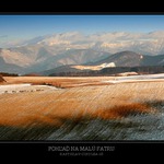 Fatra...