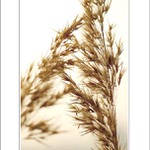 ... dotyky I. - "horúčka sobotňajšej noci" ...