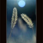 ... približovania I. ...