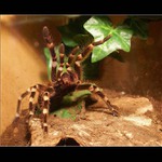 poslední varování...