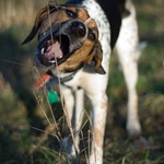 A tebe? Tebe taky sním.