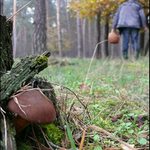 Pred pikolou za pikolou nikdo nesmi stat...