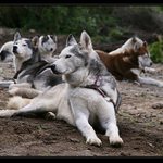 Zasloužený odpočinek