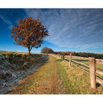 Pastviny pod Březím II.