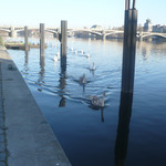 Pěkně jedna za druhou:)