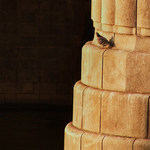 nečíhá tam něco na mě???