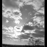 ked sa Oskar skryva za oblakmi :)