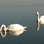 Pepo, už jsi to našel ???