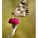 CO my lidé nevidíme