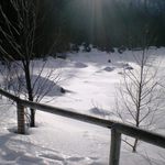 Šumava 2008 - Plešné jezero