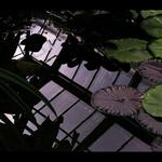 voda a moderní doba no. 2