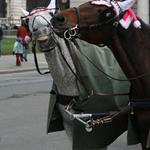 Usmev prosim 3, 2, 1 siiir