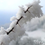 ...vzpomínka na sníh...