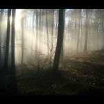 když mlha rozmrzla :)