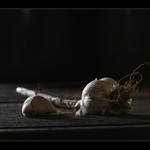 se pstroužkem česneku    II