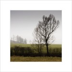 *** Bráchové ze stínu ***