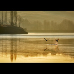 RUNWAY TRI VOĽNÁ!!!!