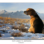 Foť, lebo ti zapadne...