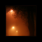 večerní procházka