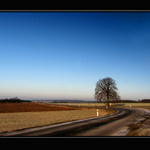 U silnice stál.....