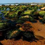 spanish point /Ireland/