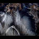 ledové malování III.