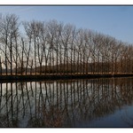 Labe mezi Neratovicemi a Kostelcem....