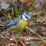 oh, to je dneska výběr.....