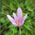 sám vojak v poli :o)