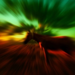 eibi - smutny koník