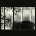 .. dva za mříží ..