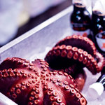 Nejlepší chobotnice je na ledu :)