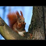 Je to kluk jako buk!