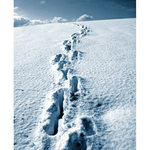 V srnčích stopách