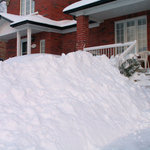 Nesaznezi a nezasnezi .