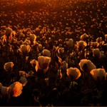 Putování sluneční krajinou