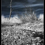 V krajině ticha (IR)