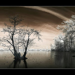 Na hladině stál (IR)