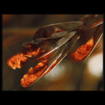 Zdál se mi nějakej zlej!...