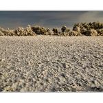 Posledné lúče slnka V