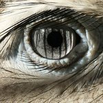 Ne, to není MaxFactor, takhle jsem se už narodila!