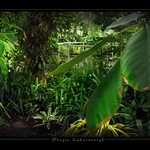 -[ TROPIC LABORATORY ]-