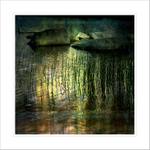 ***Jezerní víla***