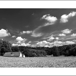 Jihočeská oblohofka