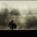 ...a ticho bylo před bouří...