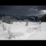 Schováni pod sněhem