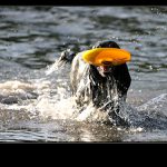 ..vidim prd, ale uz ho nesu ..